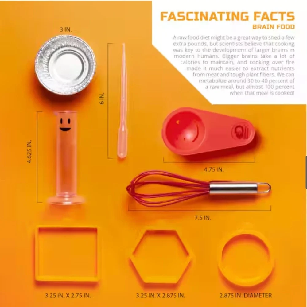 Discovery Toys STEM Discovery Food Science Lab Kit (NWT)